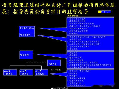 55页咨询案例PPT 麦肯锡给电信梳理的项目管理方法 流程 工具