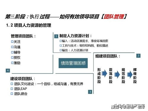 项目总必备项目管理知识体系 5大过程 9大知识