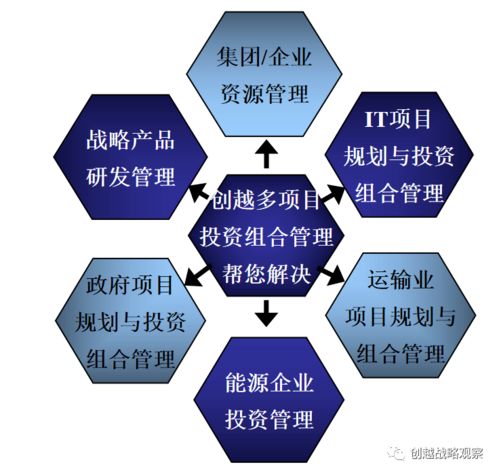 创越咨询专长3.5 多项目投资组合管理与绩效改进