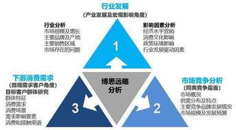 2018年项目投资热点及投资可行性决策研究 博思远略分享